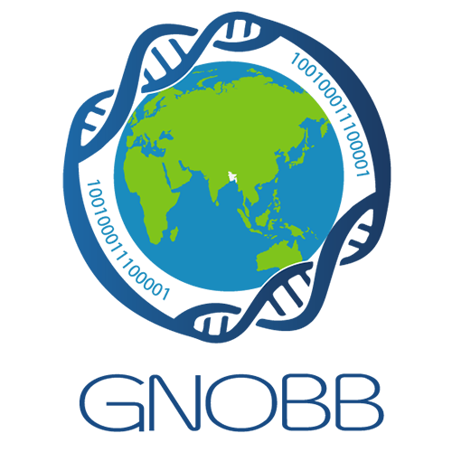 GNOBB was born as a web-based organization in 2004 in order to provide a forum for networking of Biotechnologists with origins from Bangladesh. The idea was initiated by Dr. Abidur Rahman and retired Professor of Botany, Dr. Ahmad Shamsul Islam. The website was then launched and coordinated ever since by the latter with oversight from Dr. Abid and rest of the Founder members.